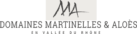 E-Carte Cadeau Vin 50€ - Vins Domaines Martinelles et Aloès